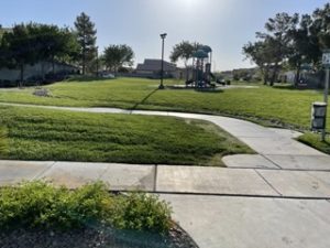Wide view of a clean lawn on a sunny day